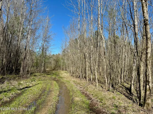 $100,000 | 0 Swamp Road, Carthage, MS 39051