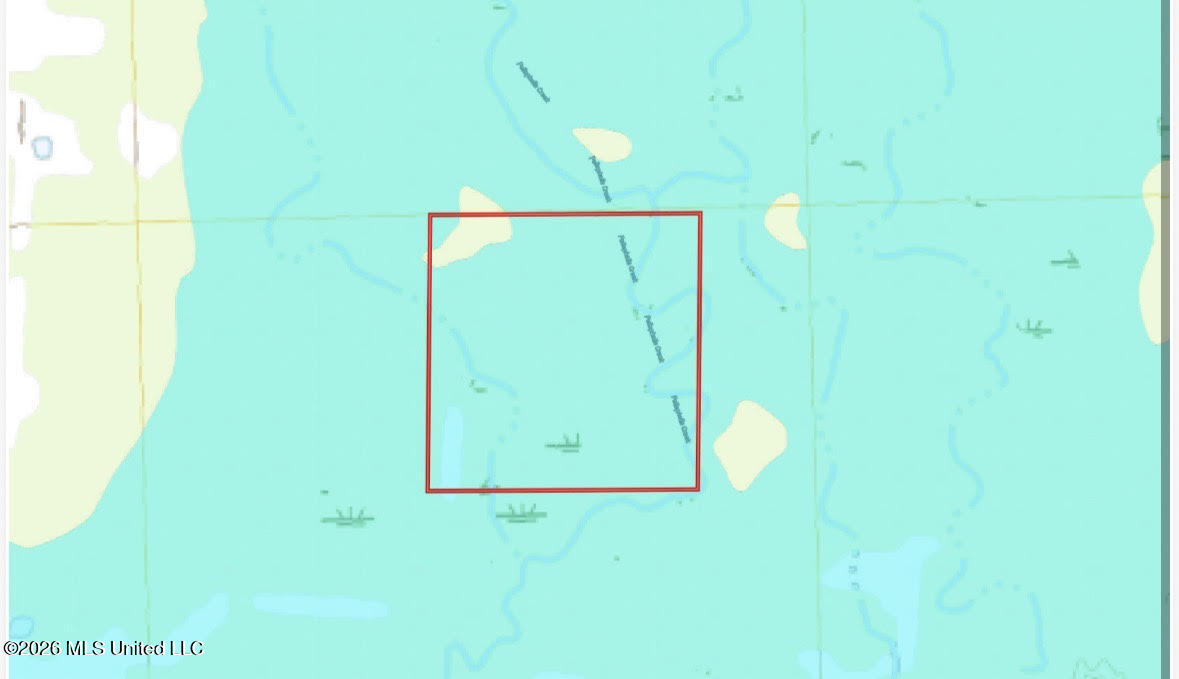 0 Swamp Road Carthage, MS 39051 - Photo 11 of 12 11