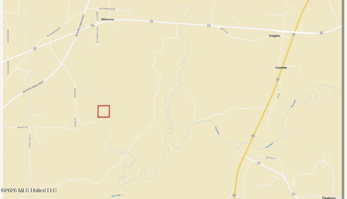 0 Swamp Road Carthage, MS 39051 - Photo 12 of 12 12