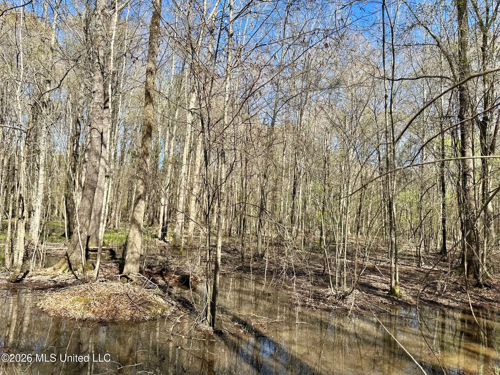 0 Swamp Road Carthage, MS 39051 - Photo 4 of 12 4