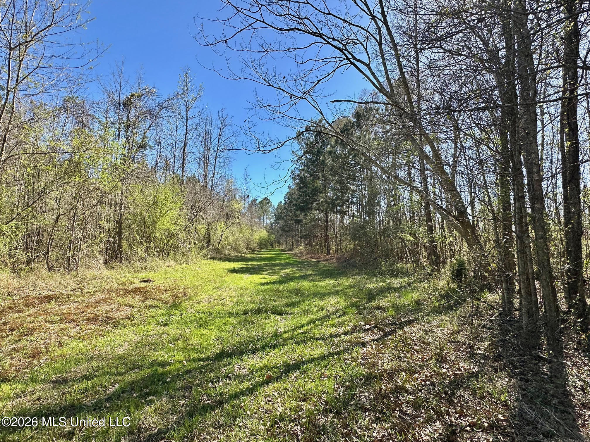 0 Swamp Road Carthage, MS 39051 - Photo 9 of 12 9