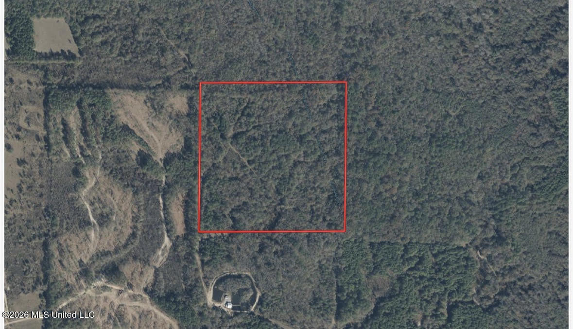 0 Swamp Road Carthage, MS 39051 - Photo 10 of 12 10