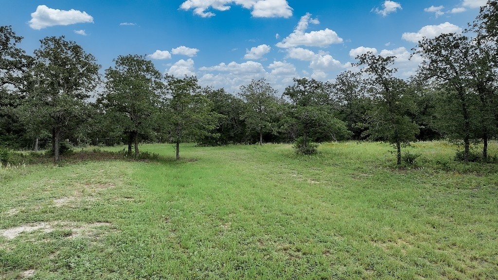 2625 Burke Road Flatonia, TX 78941 - Photo 17 of 19