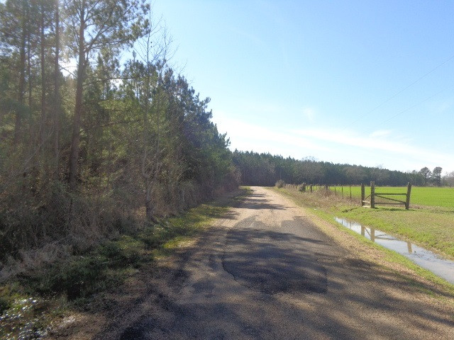 4083 Pearl Valley Road Hazlehurst, MS 39083 - Photo 29 of 44 Photo 29