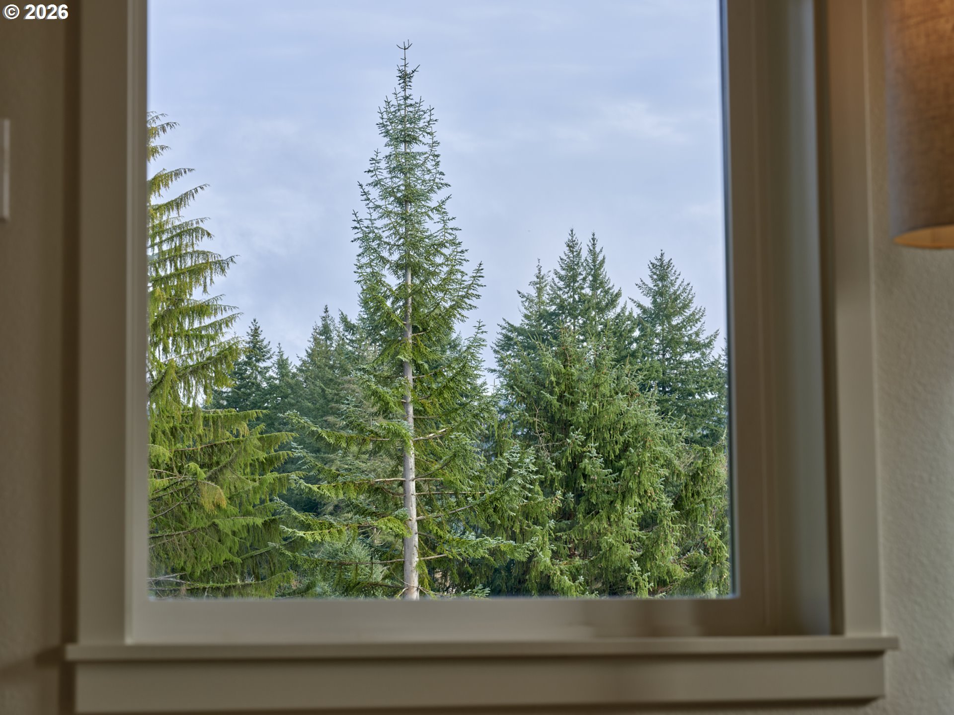 1834 Rose Valley Road Kelso, WA 98626 - Photo 9 of 40 Living Room