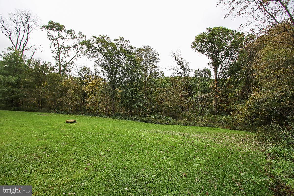 10427 Bessie Clemson Road Union Bridge, MD 21791 - Photo 7 of 8 a view of a field with a tree