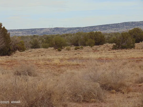 $55,000 | 42 N5576, Concho, AZ 85924