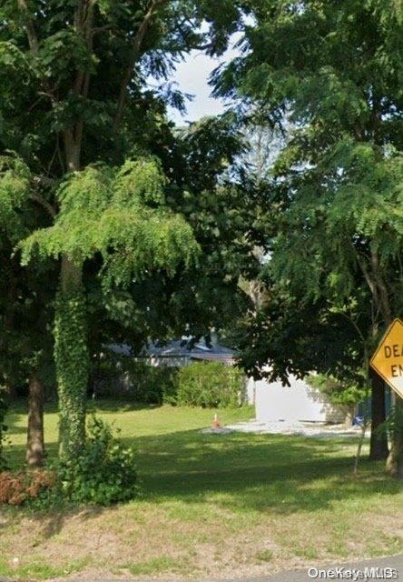a view of a yard with a tree