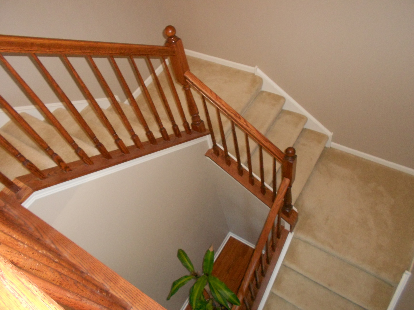 1721 Pin Oak Lane Elgin, IL 60120 - Photo 24 of 39 a view of entryway