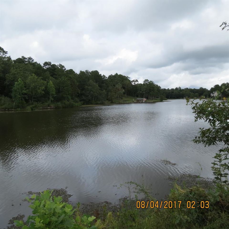 Lot # Magnolia Pointe Road Andalusia, AL 36421 - Photo 1 of 6 Gallery Image 1