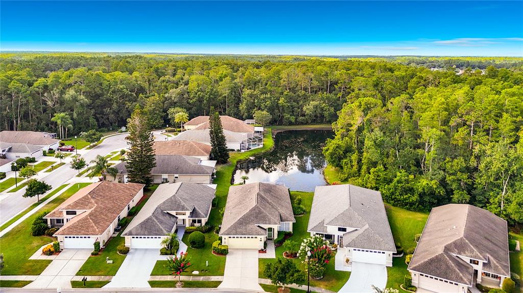 7828 Craighurst Loop New Port Richey, FL 34655 - Photo 53 of 57
