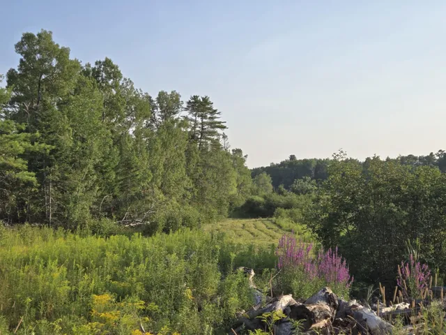 $295,000 | 0 Lambert Rd(map 4-14 & 4-14-01), Brewer, ME 04412