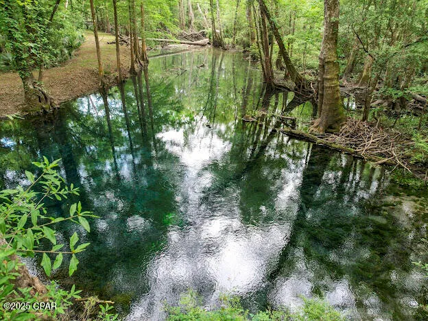 $8,000,000 | 0 79th Highway, Vernon, FL 32462