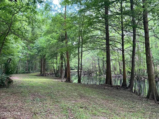 $8,000,000 | 0 79th Highway, Vernon, FL 32462