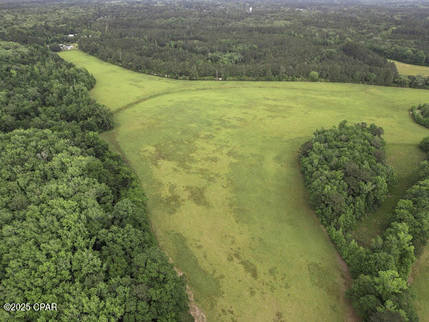 0 79th Highway Vernon, FL 32462 - Photo 13 of 13