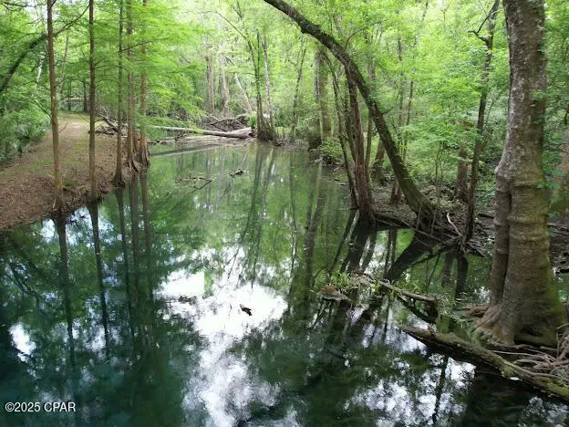 $8,000,000 | 0 79th Highway, Vernon, FL 32462