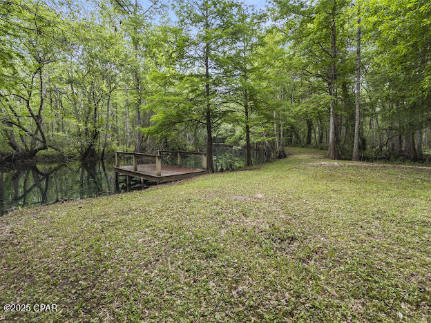 0 79th Highway Vernon, FL 32462 - Photo 3 of 13