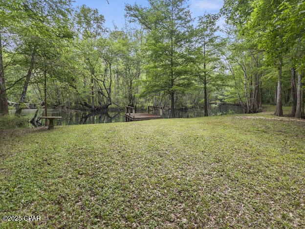 0 79th Highway Vernon, FL 32462 - Photo 4 of 13