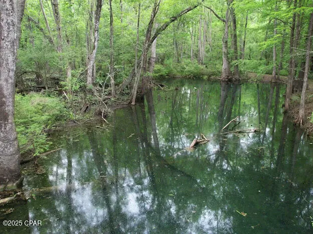 $8,000,000 | 0 79th Highway, Vernon, FL 32462