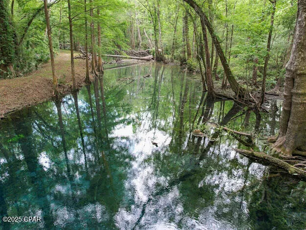 $8,000,000 | 0 79th Highway, Vernon, FL 32462