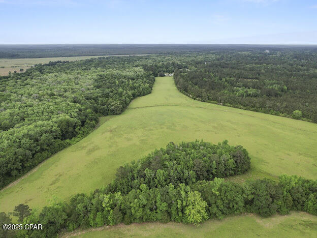 0 79th Highway Vernon, FL 32462 - Photo 9 of 13