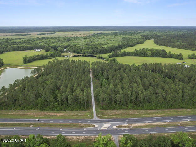 0 79th Highway Vernon, FL 32462 - Photo 10 of 13