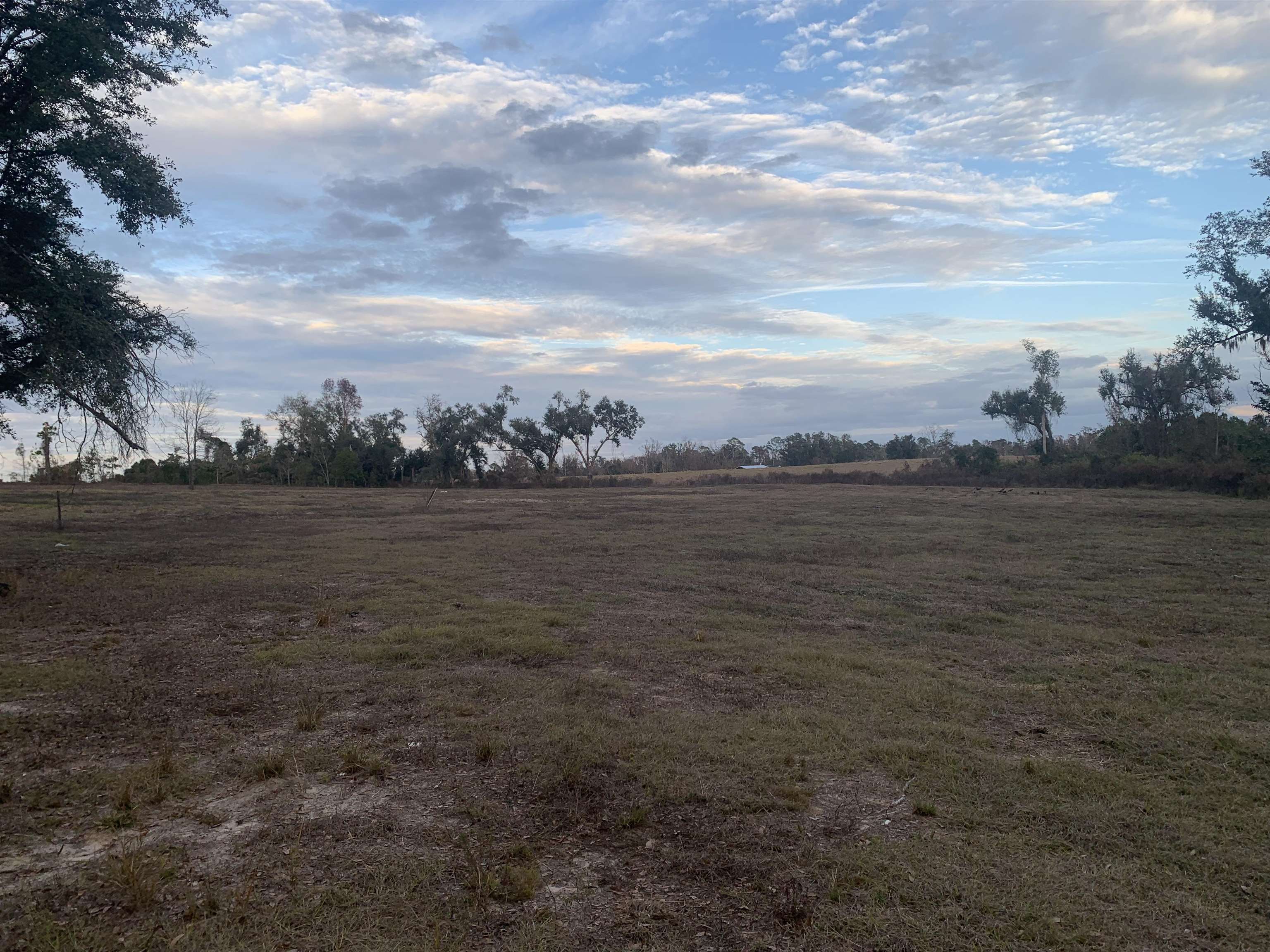 1701 Southwest Moseley Hall Road Madison, FL 32340 - Photo 18 of 35 Gallery Image 18