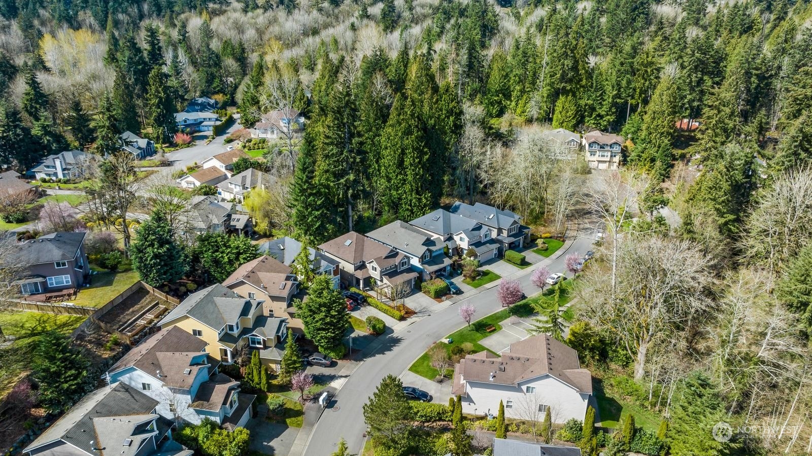 11159 Northeast 162nd Street Bothell, WA 98011 - Photo 29 of 34 Gallery Image 29