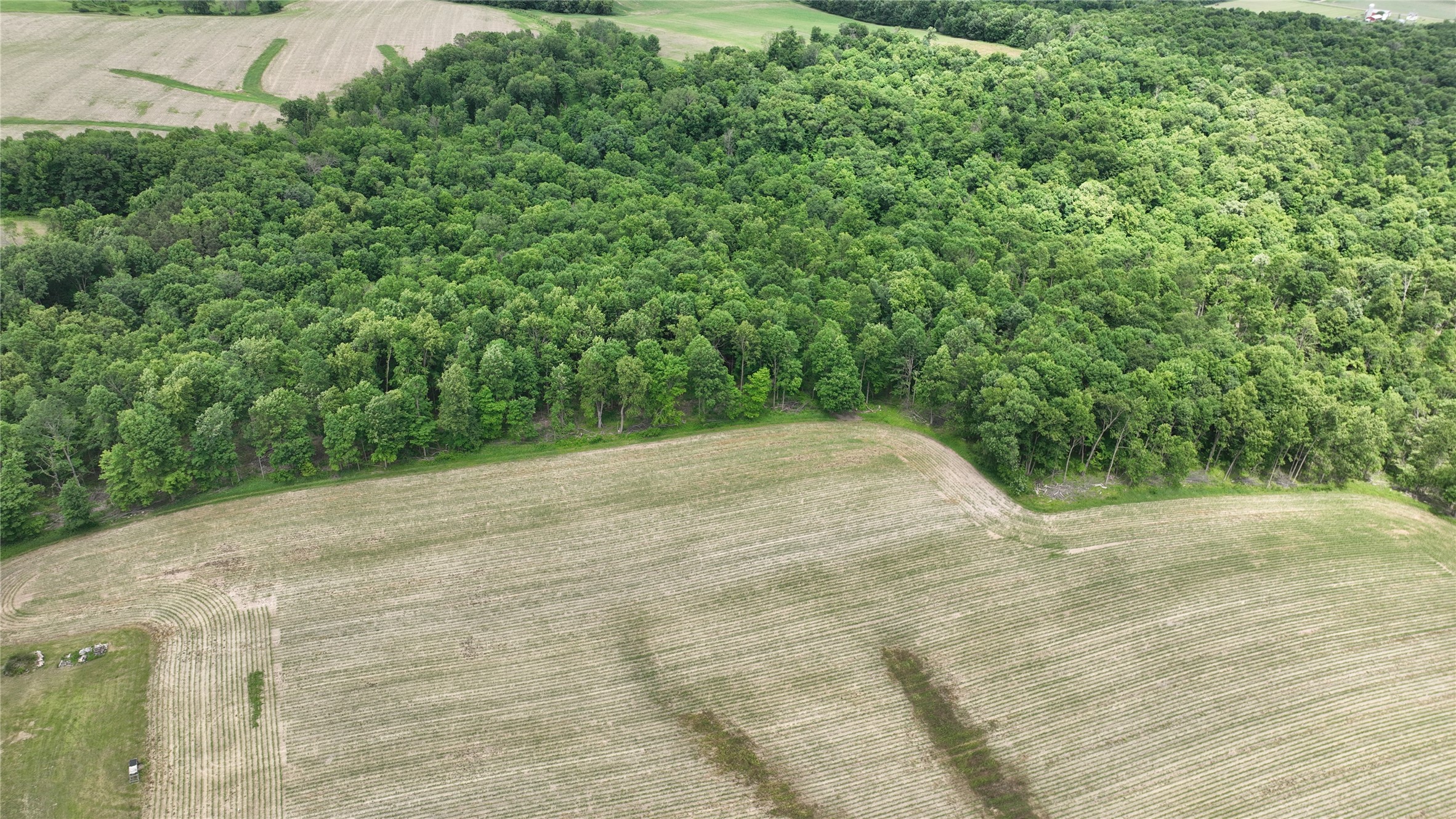 Xx County Rd Q Downing, WI 54734 - Photo 18 of 45