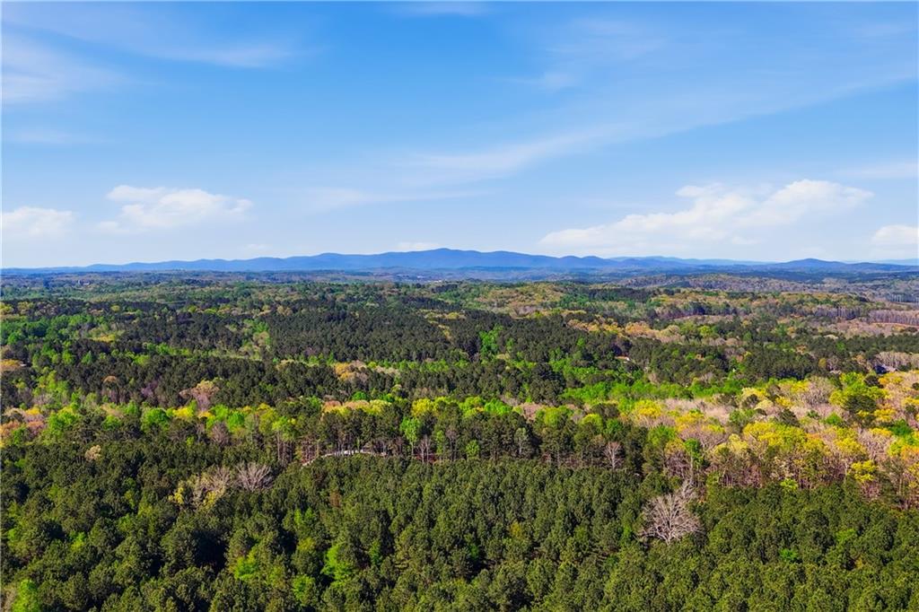 2865 Flatbottom Road Ball Ground, GA 30107 - Photo 67 of 67