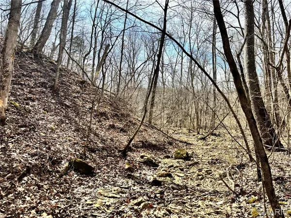 $105,000 | 17.47-acres 17.47-acres Highway, Warrenton, MO 63383