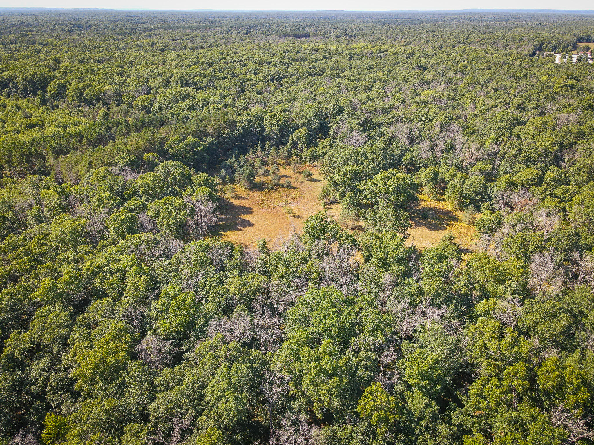 10 West Mile Road Irons, MI 49644 - Photo 5 of 42 DJI_0117