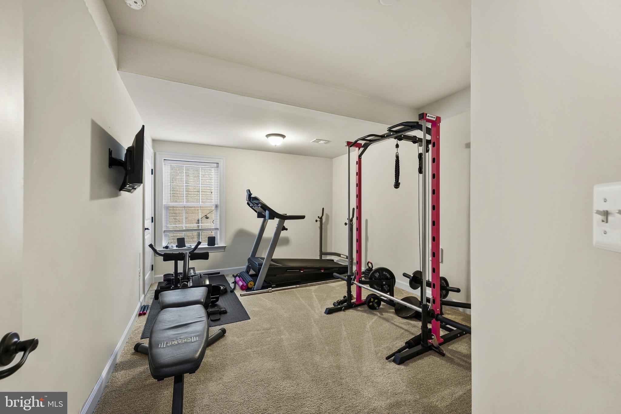 26727 Fair Hope Way Chantilly, VA 20152 - Photo 27 of 53 Basement 5