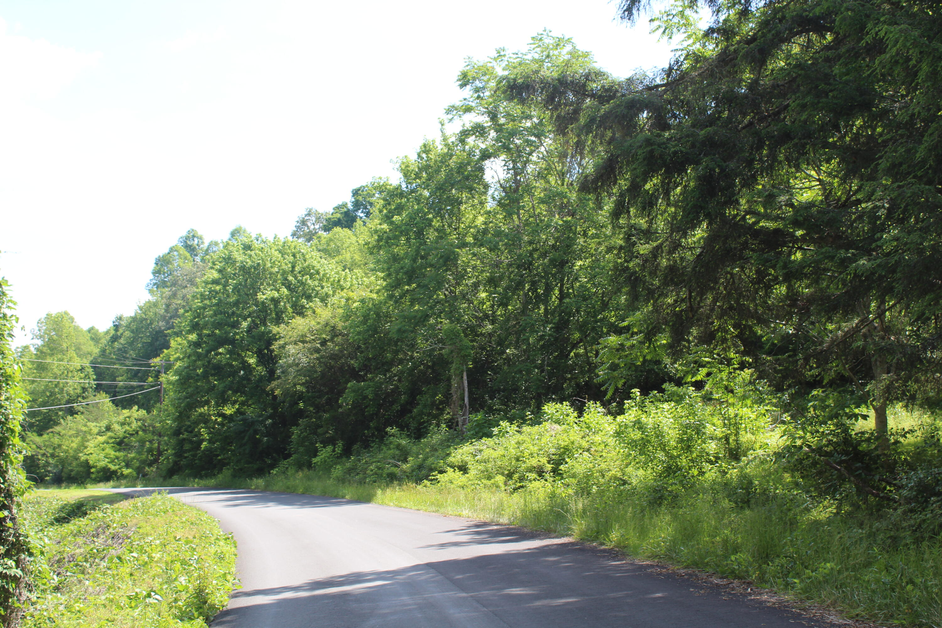 0 Left Poor Valley Road, Unit 116 Pennington Gap, VA 24277 - Photo 1 of 14 IMG_2837