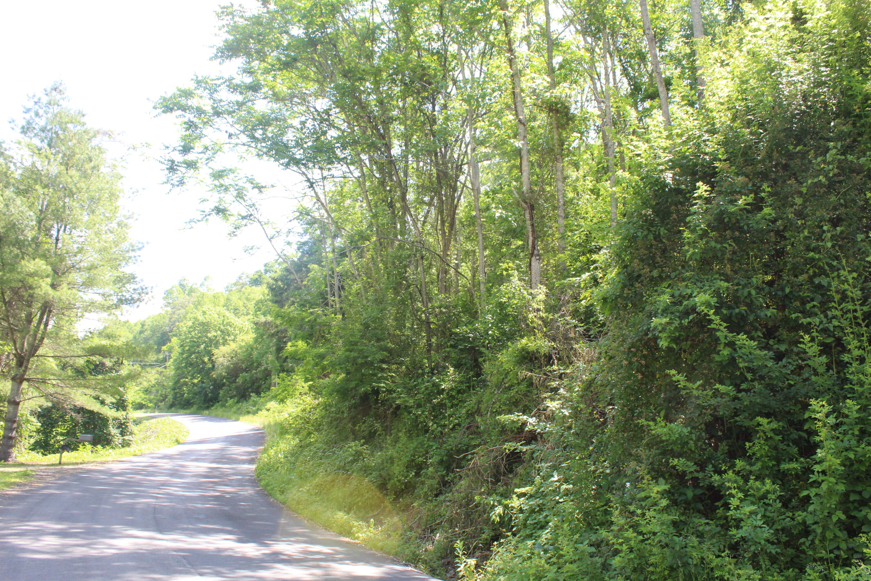 0 Left Poor Valley Road, Unit 116 Pennington Gap, VA 24277 - Photo 5 of 14 IMG_2836