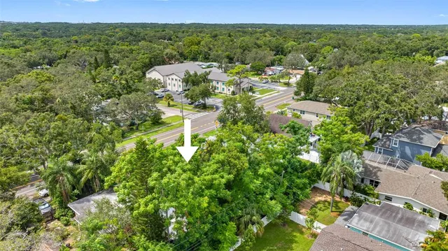 a view of a city with lush green forest