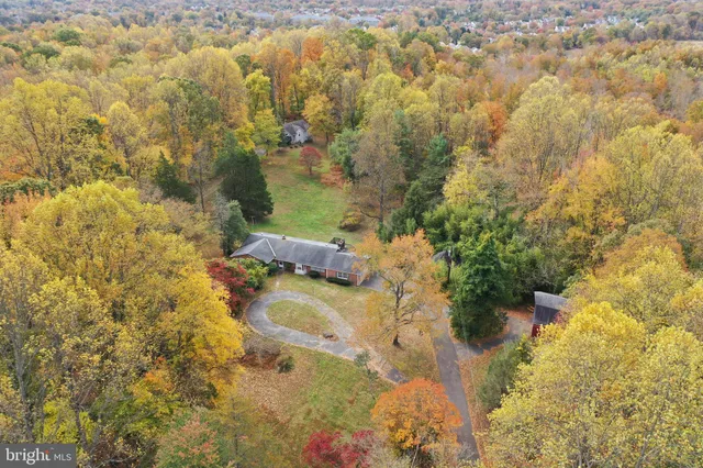 a view of a small yard