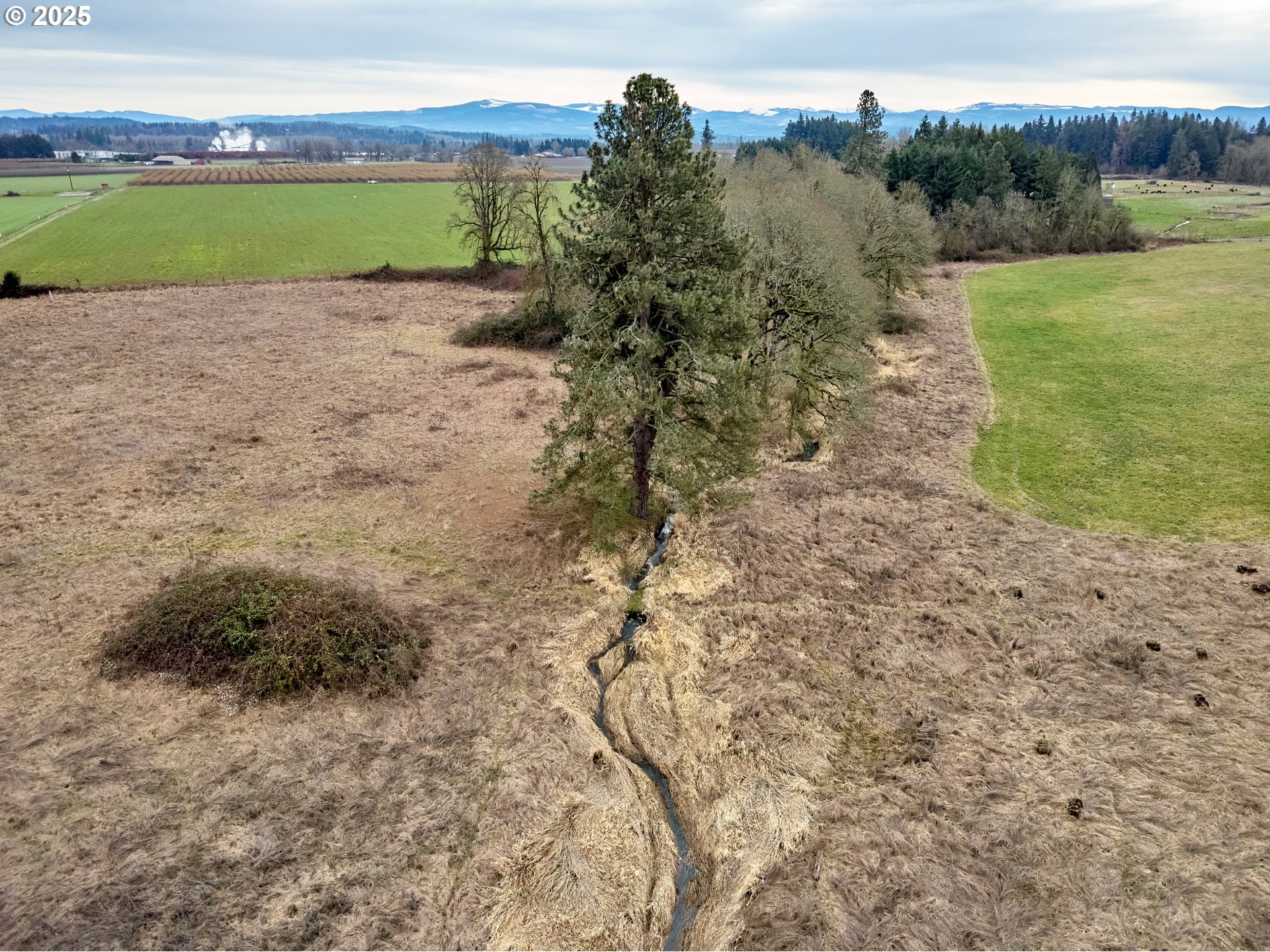 12403 South Eby Road Canby, OR 97013 - Photo 15 of 26 a view of a yard