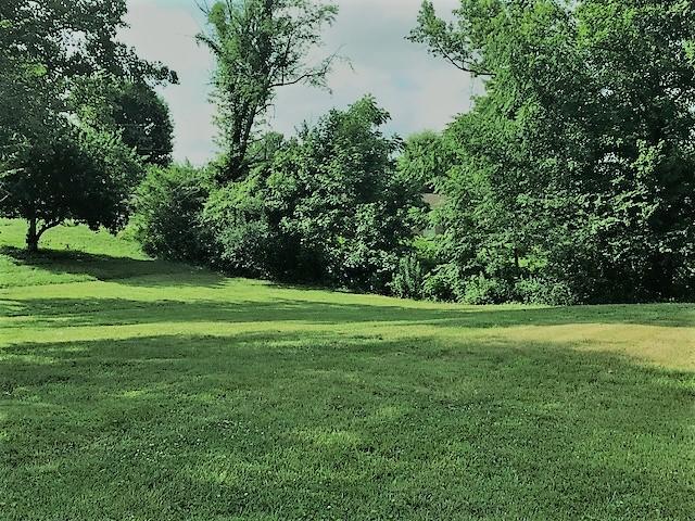 756 Sheppard Road Oneida, TN 37841 - Photo 10 of 10 IMG_5927