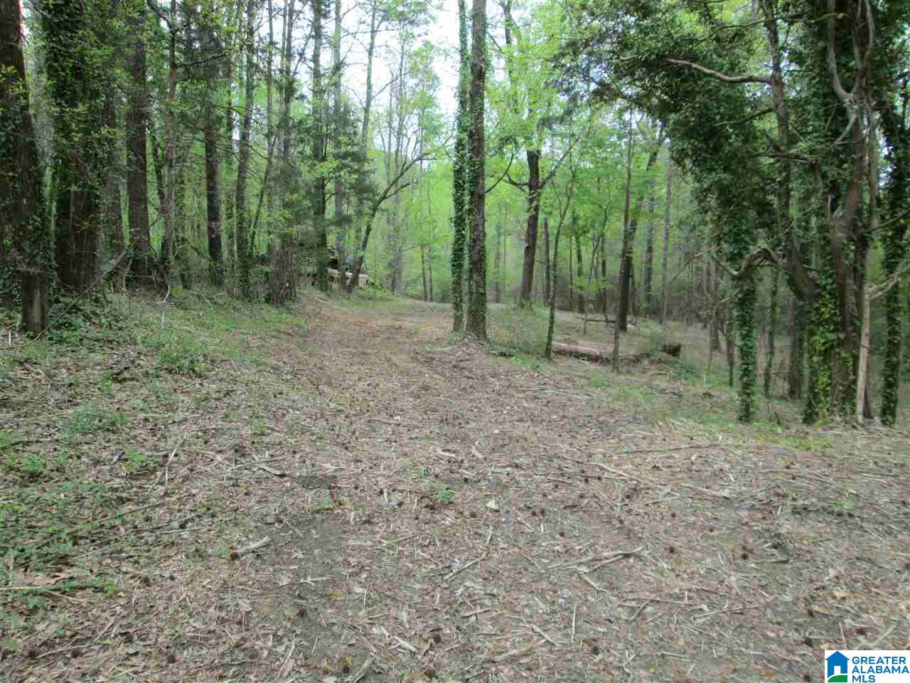 2460 Corner Road Warrior, AL 35180 - Photo 4 of 13