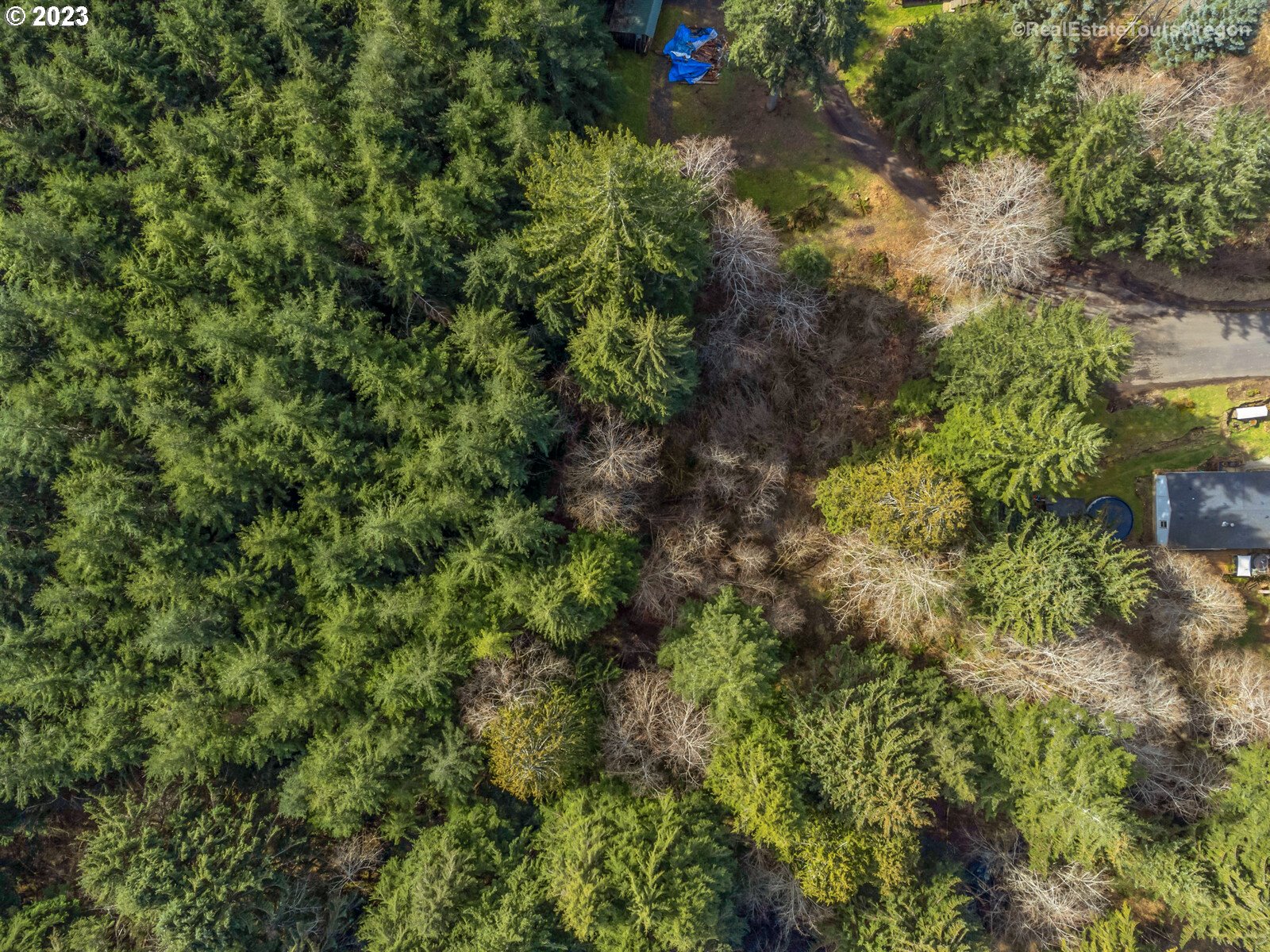 0 Sara Road Longview, WA 98632 - Photo 12 of 23