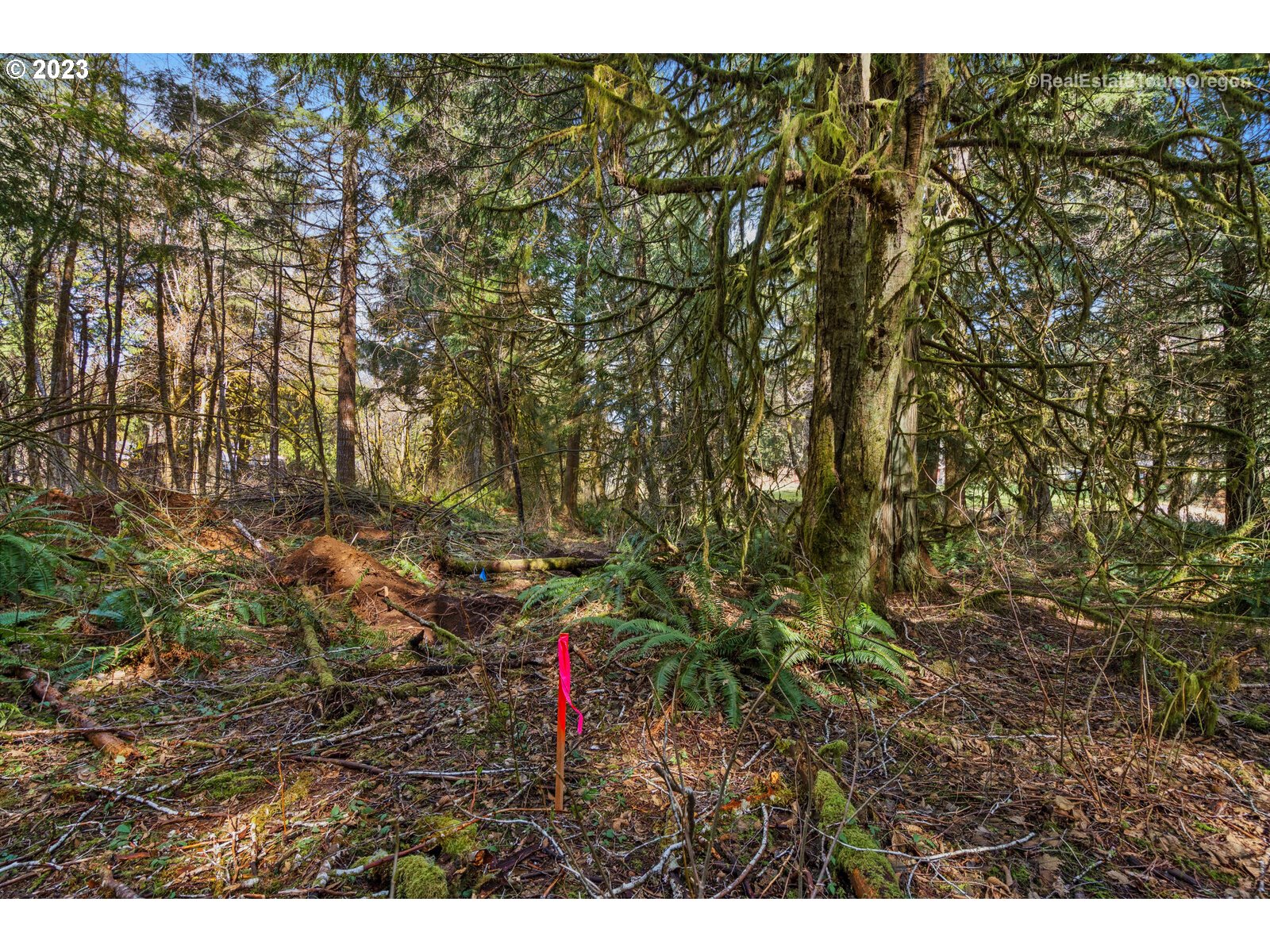 0 Sara Road Longview, WA 98632 - Photo 4 of 23