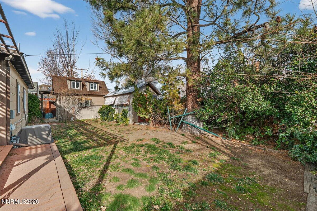 1831 North Division Street Carson City, NV 89703 - Photo 31 of 35 a view of a yard with plants and large trees
