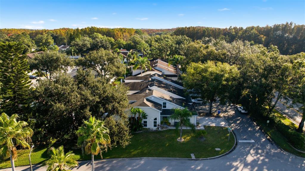 21425 Clubside Loop Lutz, FL 33549 - Photo 34 of 42 a view of a house with a swimming pool and a yard