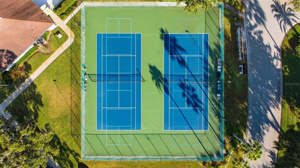 21425 Clubside Loop Lutz, FL 33549 - Photo 36 of 42 a view of outdoor space