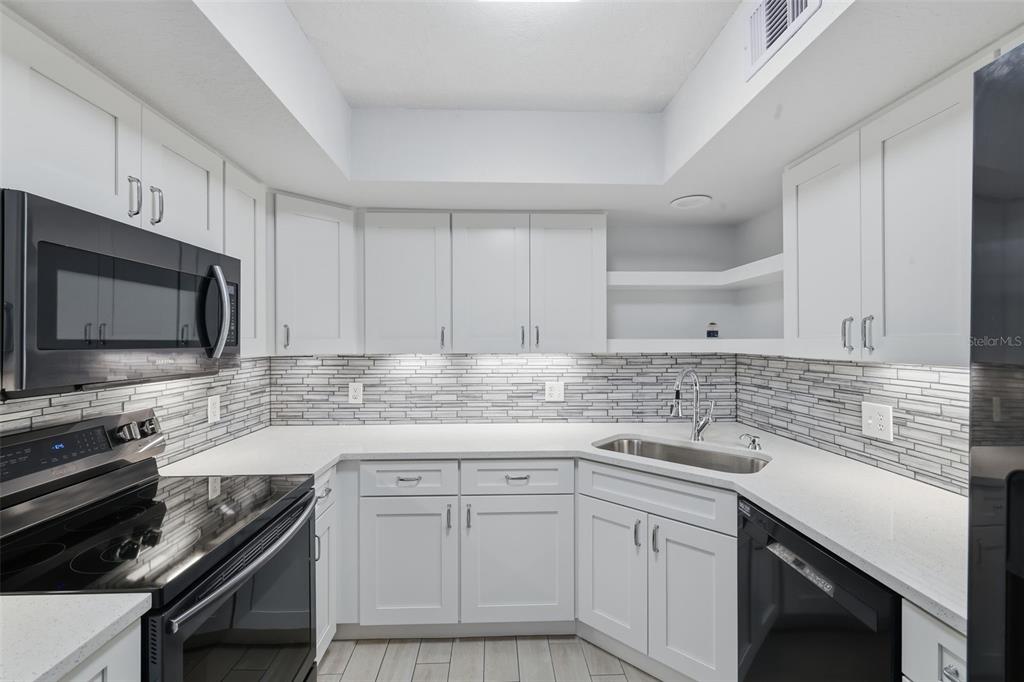 21425 Clubside Loop Lutz, FL 33549 - Photo 10 of 42 a kitchen with a sink stove and microwave