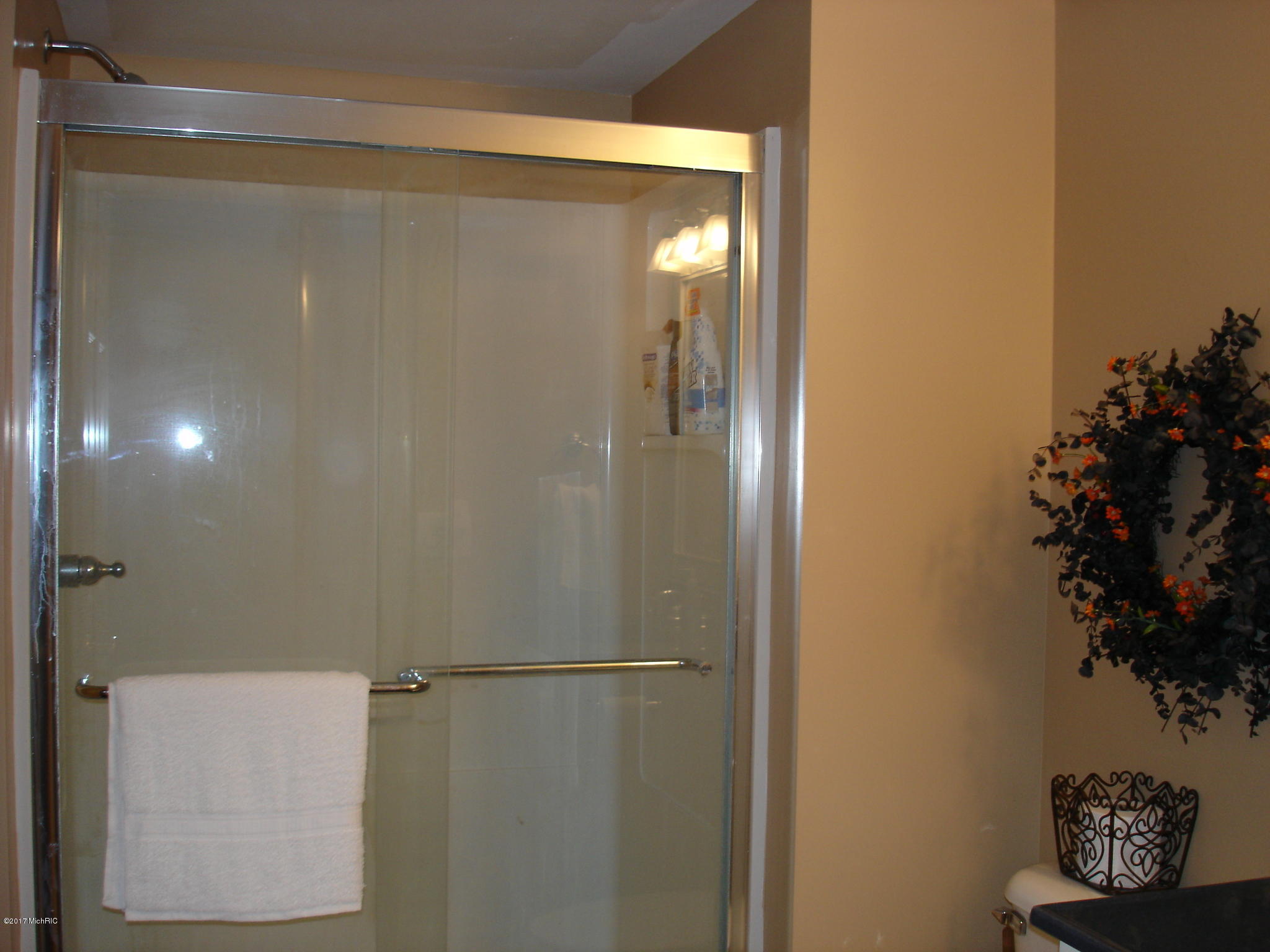 2179 Autumn Ridge St. Joseph, MI 49085 - Photo 44 of 53 LOWER LEVEL BATH