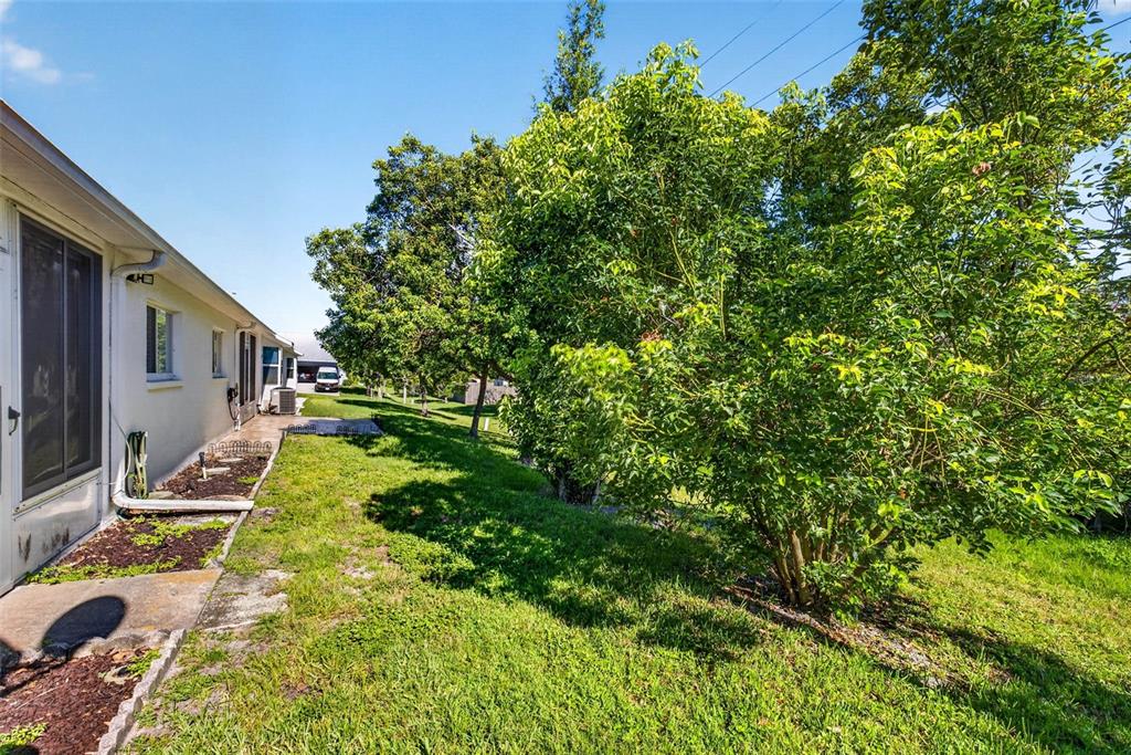 4233 Avanti Circle New Port Richey, FL 34655 - Photo 22 of 23