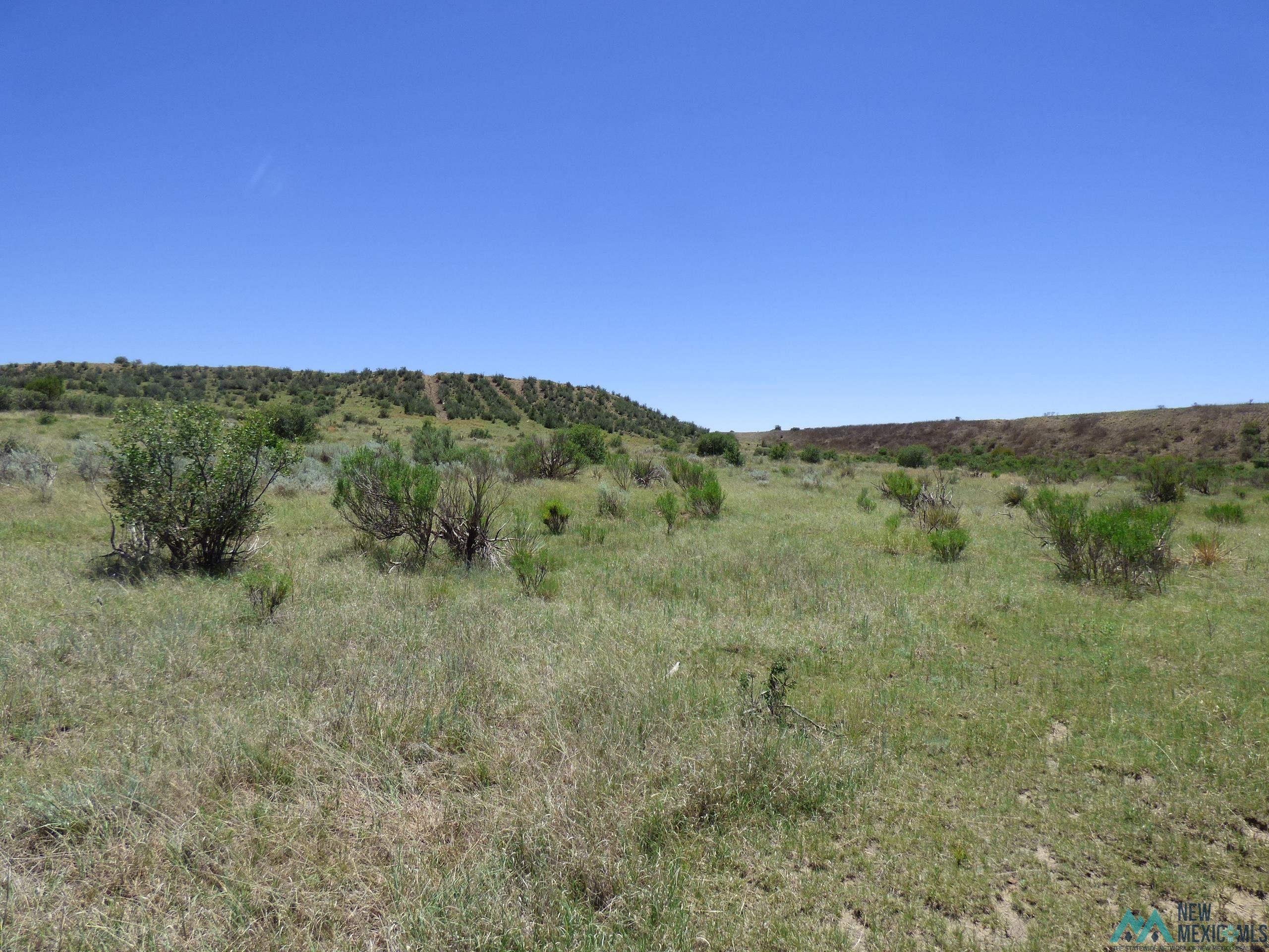 Tbd Market Street Raton, NM 87740 - Photo 11 of 20