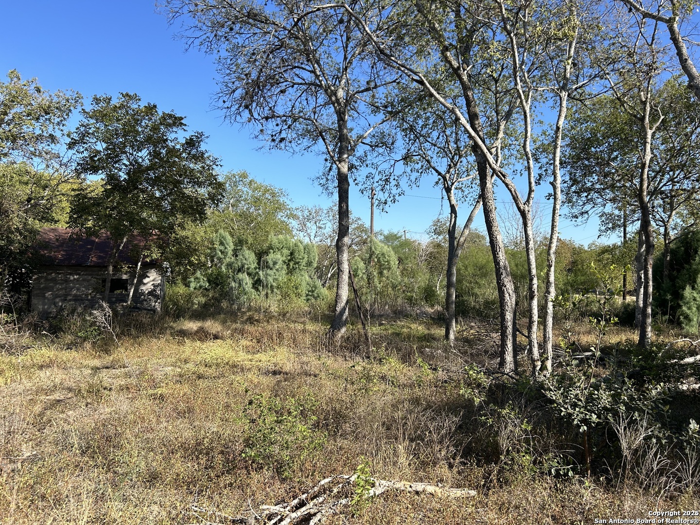 9446 Espada Road San Antonio, TX 78214 - Photo 3 of 7 a backyard of a house with lots of green space